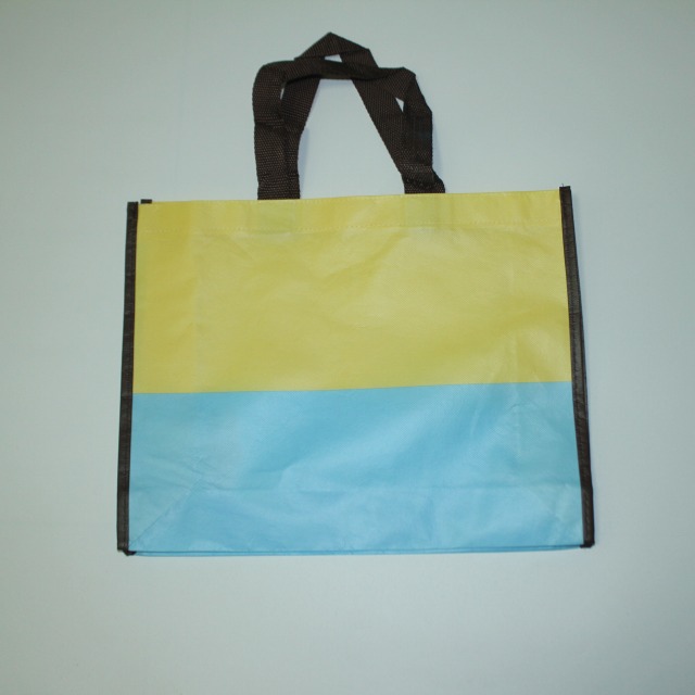 Laminated Non Woven Bag LNW-E74